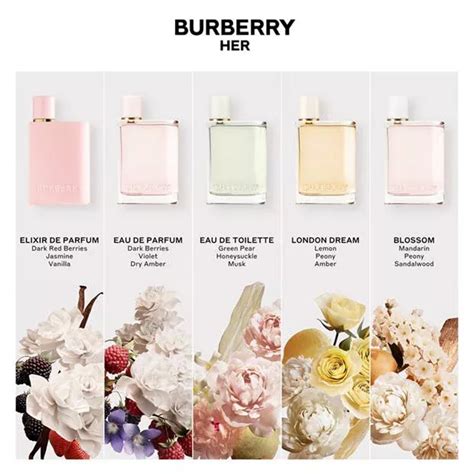 burberry zweiteiler|burberry her fragrance.